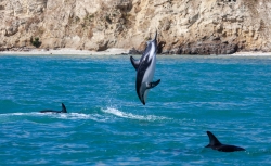 Kaikoura, New Zealand