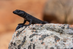 Cape Town, South Africa