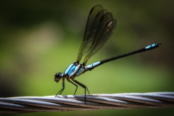 Queensland, Australia