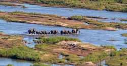 Kruger Park, South Africa